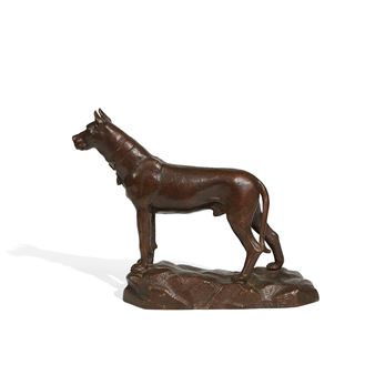 Great Dane - Antonio de Filippo