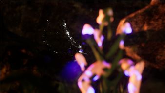 FACT Together - FACT Foundation for Art and Creative Technology