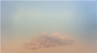 Die ersten Jahre der Professionalität #40 - Galerie der Künstler