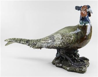 Pheasant standing on a rocky base with glass eyes, beak to tail - Colin Kellam