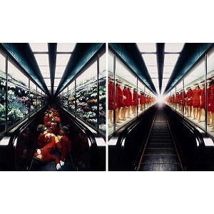 Artwork by Miwa Yanagi, Elevator Girl House 1F, Made of Lambda print, the complete set of 2 works