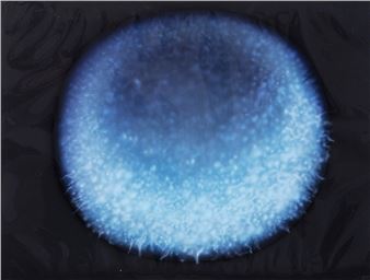 Miracle at number one - Miroslav Hadinec