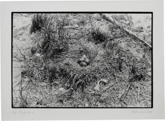 Nest no. 1 by Zoe Leonard, 1997