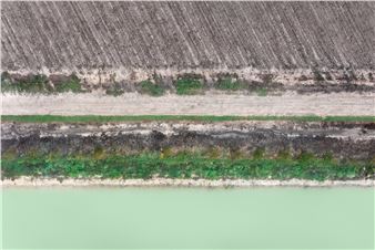 ONLINE: Zoe Wetherall: Lines of Nature - Front Room Gallery, New York