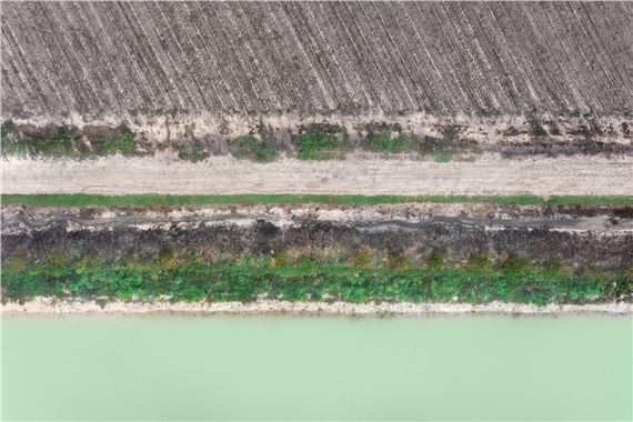 ONLINE: Zoe Wetherall: Lines of Nature - Front Room Gallery, New York