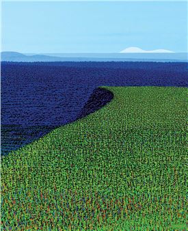 Field Drop - Ivan Eyre