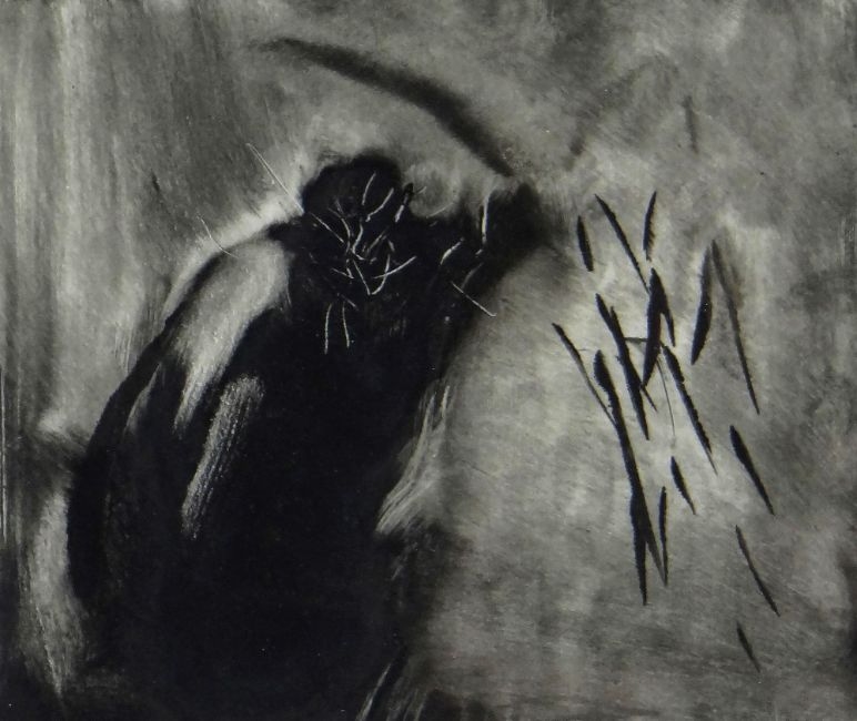 Artwork by Harry Holland, Stroke, Made of monotype print