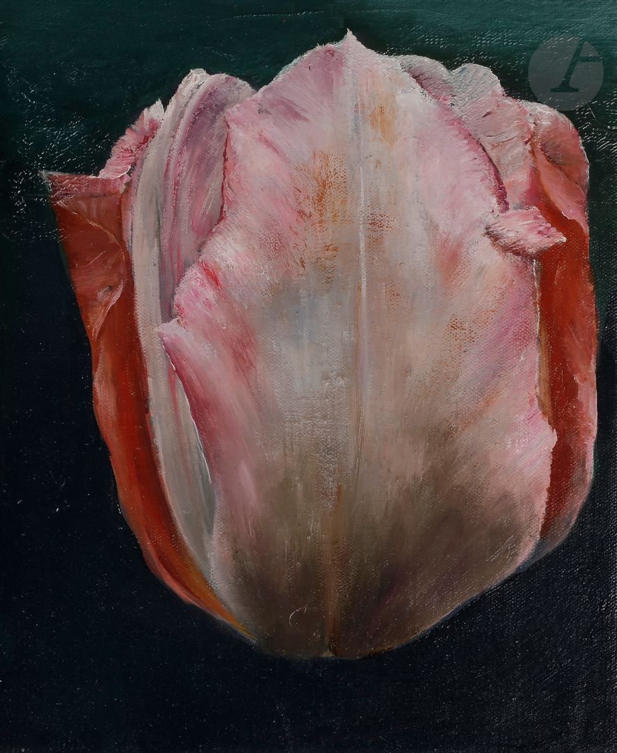 Clement Rosenthal Tulip MutualArt