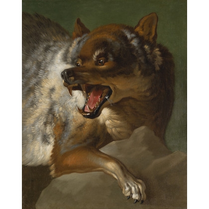 Wolf by Giuseppe Baldrighi, circa 1752 - 1756