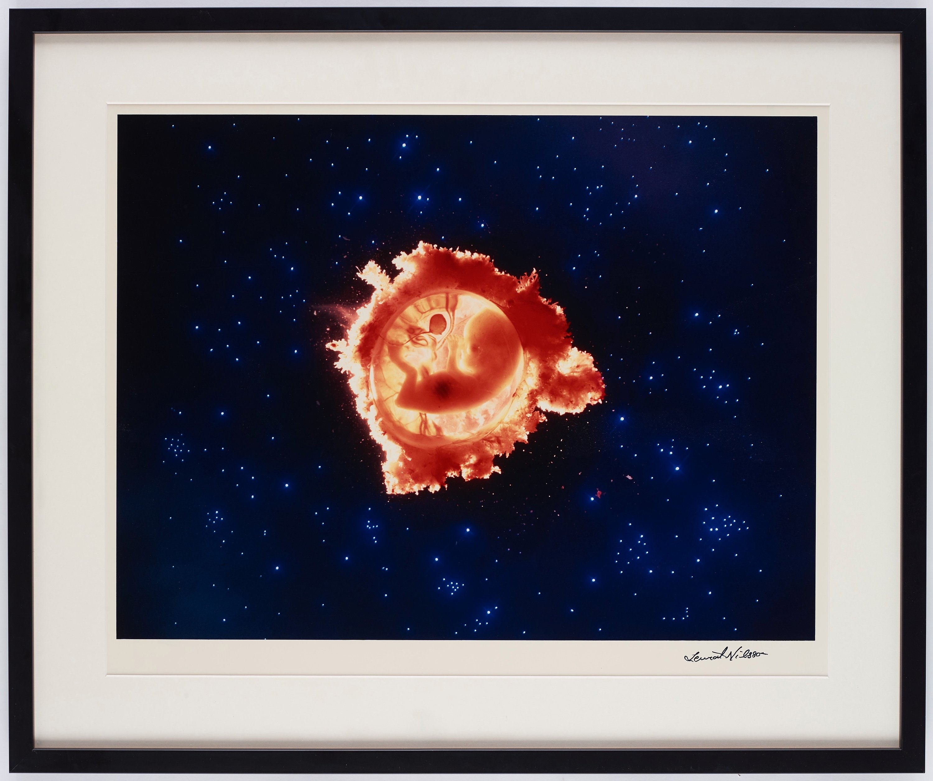 Artwork by Lennart Nilsson, Rymdfararen, Made of Cibachrome