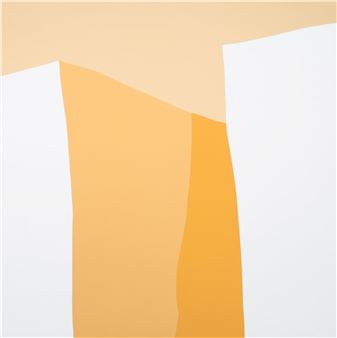 Shapes - Alexander Berggruen