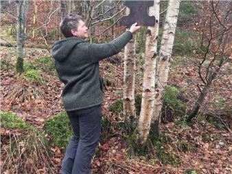 A Puzzle in the Garden. - Dawyck Botanic Garden