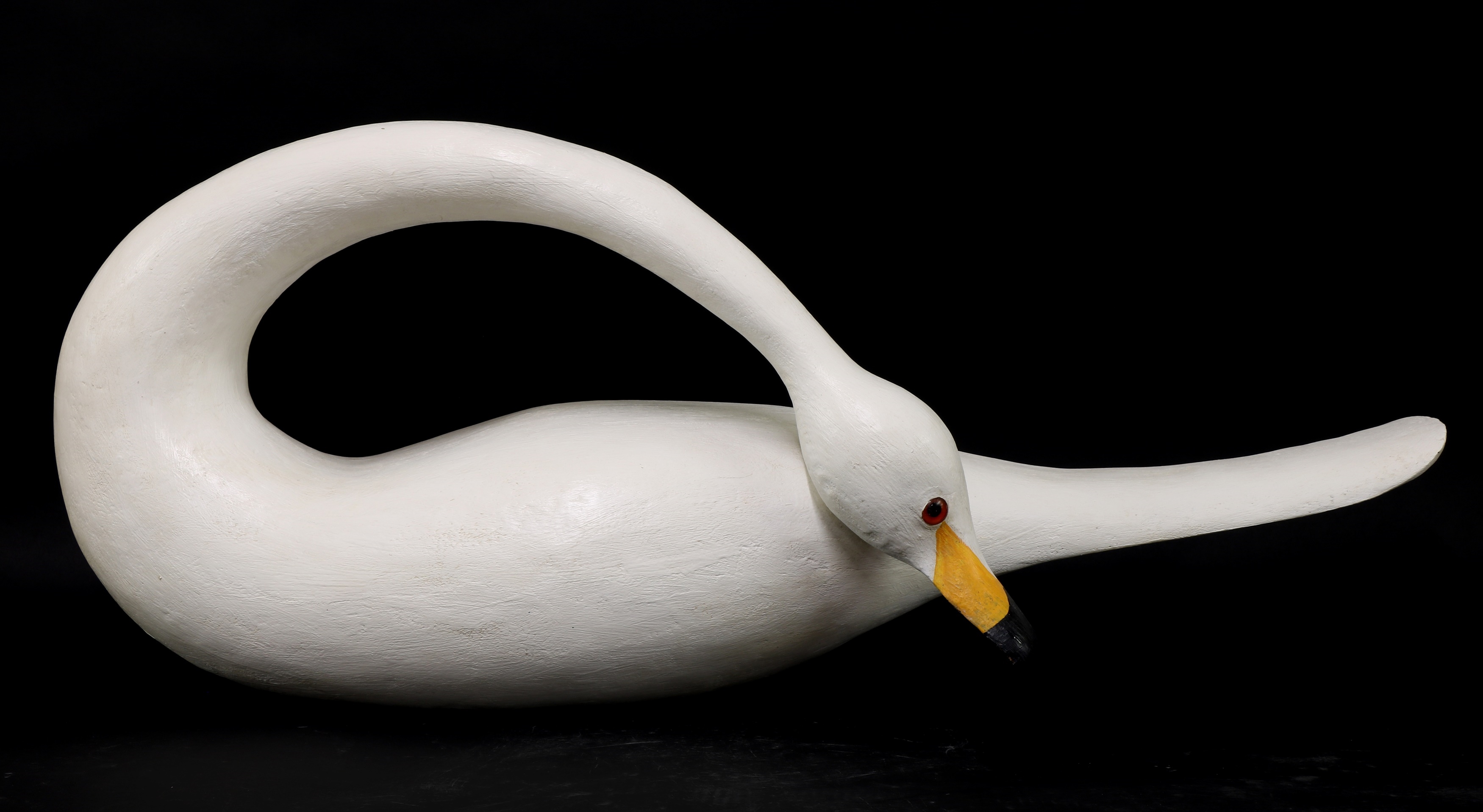 'Swan' by Guy Taplin