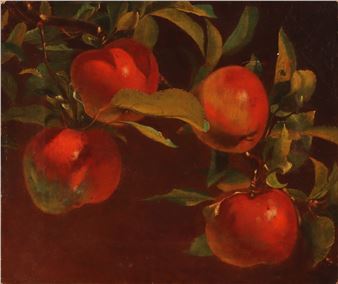 Study of apples on a tree - Edward Rawstorne