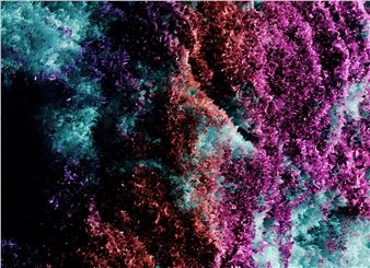 The NFT Project Tracking Artworks from Museum to Blockchain