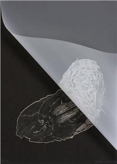 Untitled - David Paton