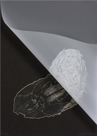 Untitled by David Paton, 2014