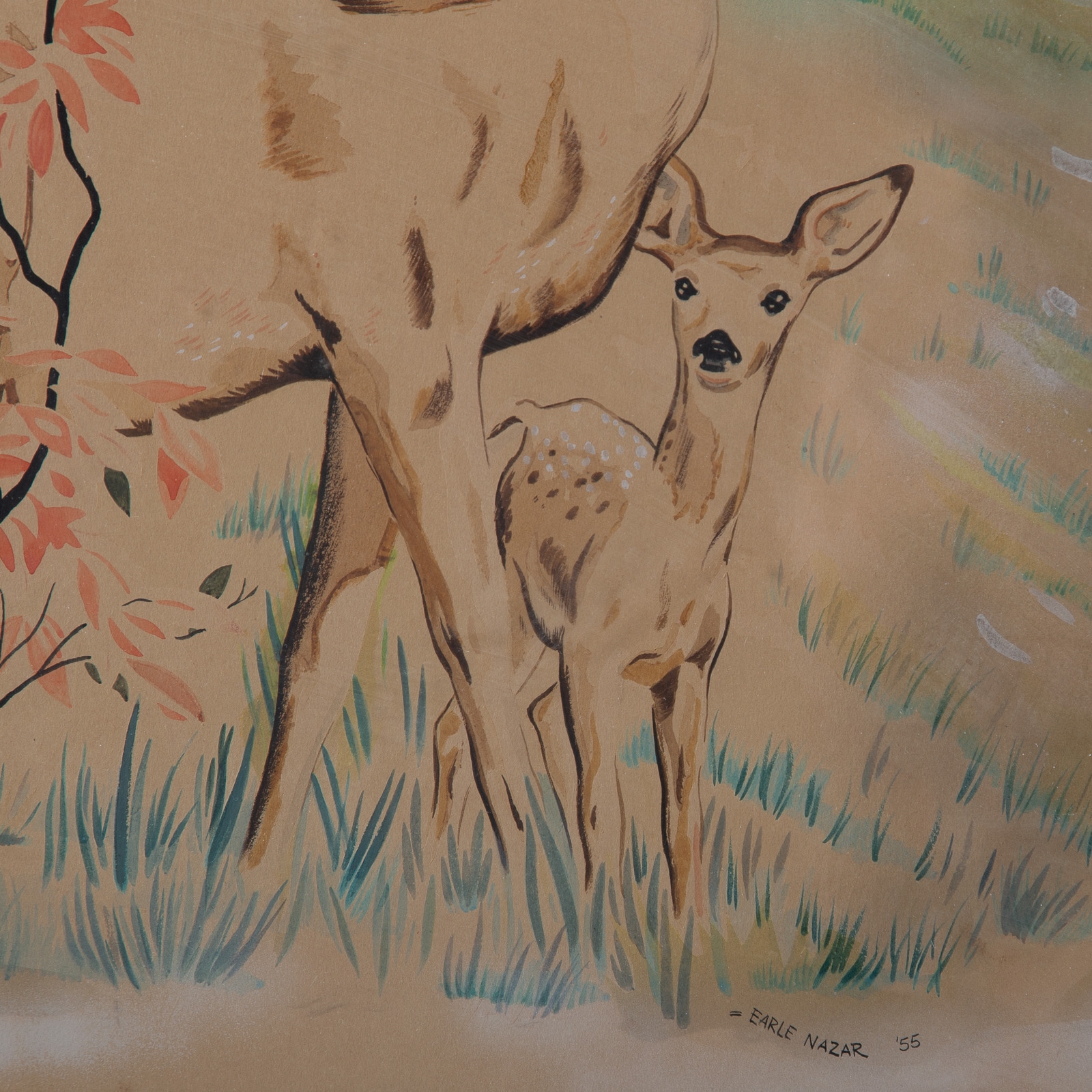 Artwork by Earle Nazar, Doe and Fawn, Made of watercolor Watercolor on paperboard