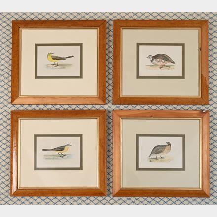 "History of British Birds." by Francis Orpen Morris, 1860