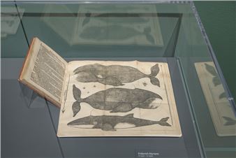 Five Centuries of German and Austrian Graphics on View at the Montreal Museum of Fine Arts