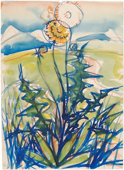 Löwenzahnblüten auf einer Gebirgswiese