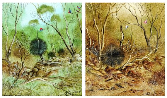 "Flinders Rosella"; "Flinders Wild" by Rob Taylor, 1981