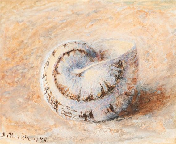 John Ruskin | Study of a Snail Shell (1878) | MutualArt