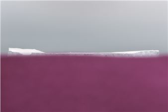 Exhibition Presents Works That Convey Humanity's Relationship with Nature