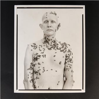 Richard Avedon | PORTRAITS (2002) | MutualArt