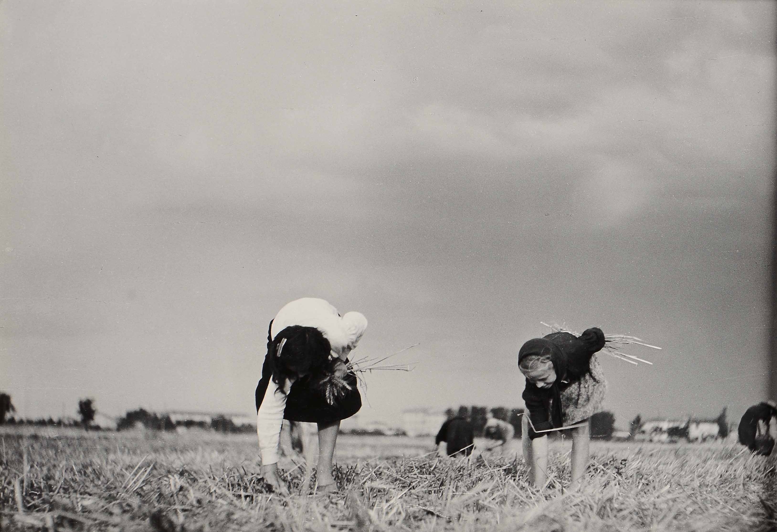 Artwork by Gualberto Davolio Marani, Spigolatrici, Made of gelatin print with silver salts