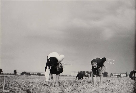 Spigolatrici by Gualberto Davolio Marani