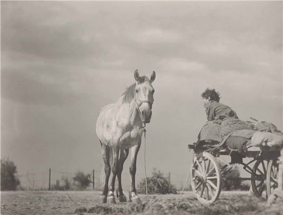 Zingaresca by Gualberto Davolio Marani, 1950
