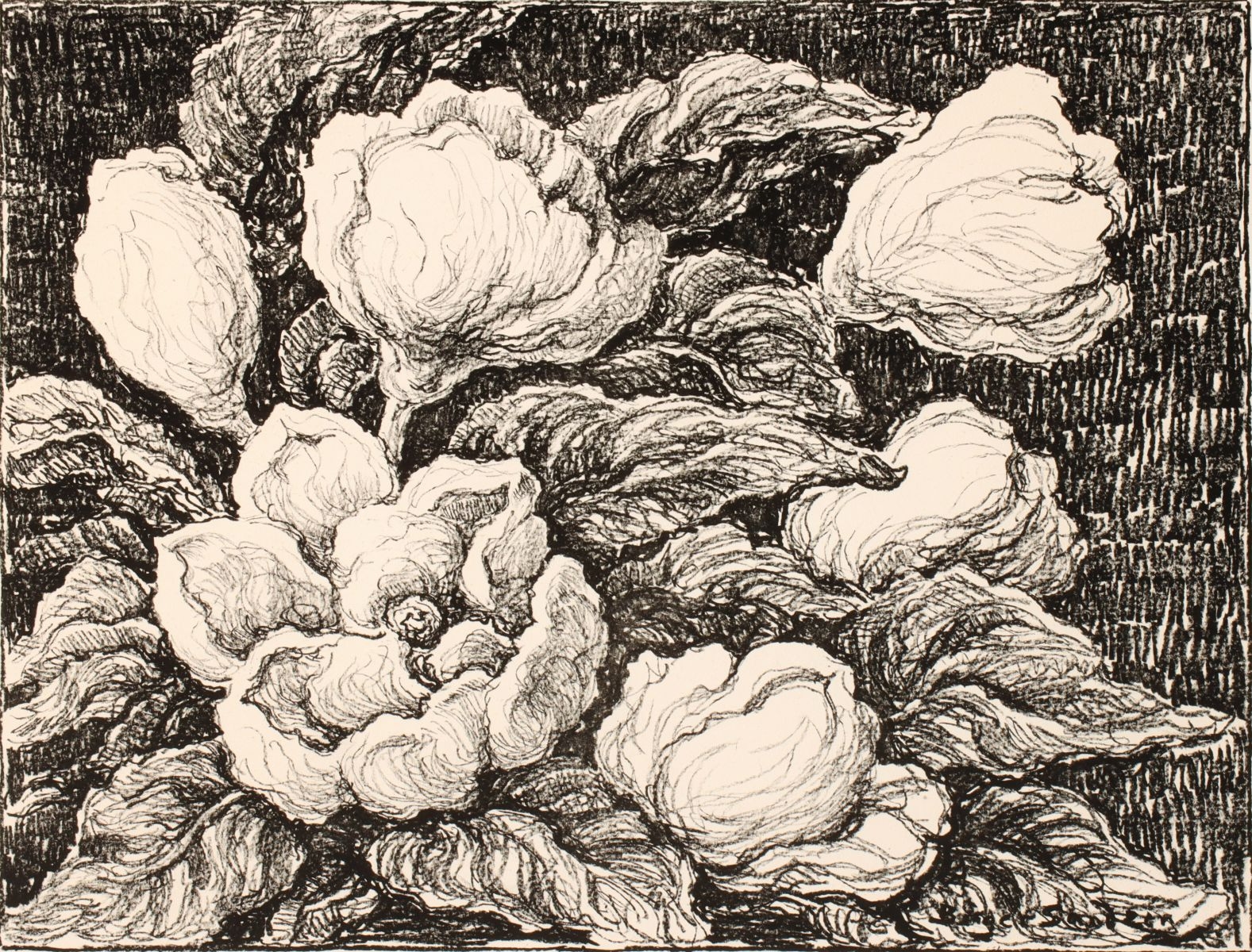 Artwork by Birger Sandzén, Magnolias, Made of lithograph