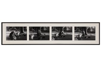 Cats with spaghetti - Jaki Irvine