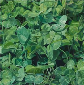 Beth Edwards: Wonderstruck at David Lusk Gallery, Memphis