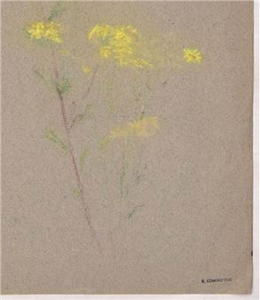 Mimosa Flower - Edmond Eugène Duc