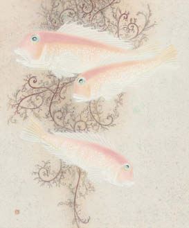 Twinkle (tilefish) - Miki Morohoshi