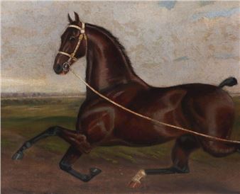 ʴڱǰٰä - H. Hull