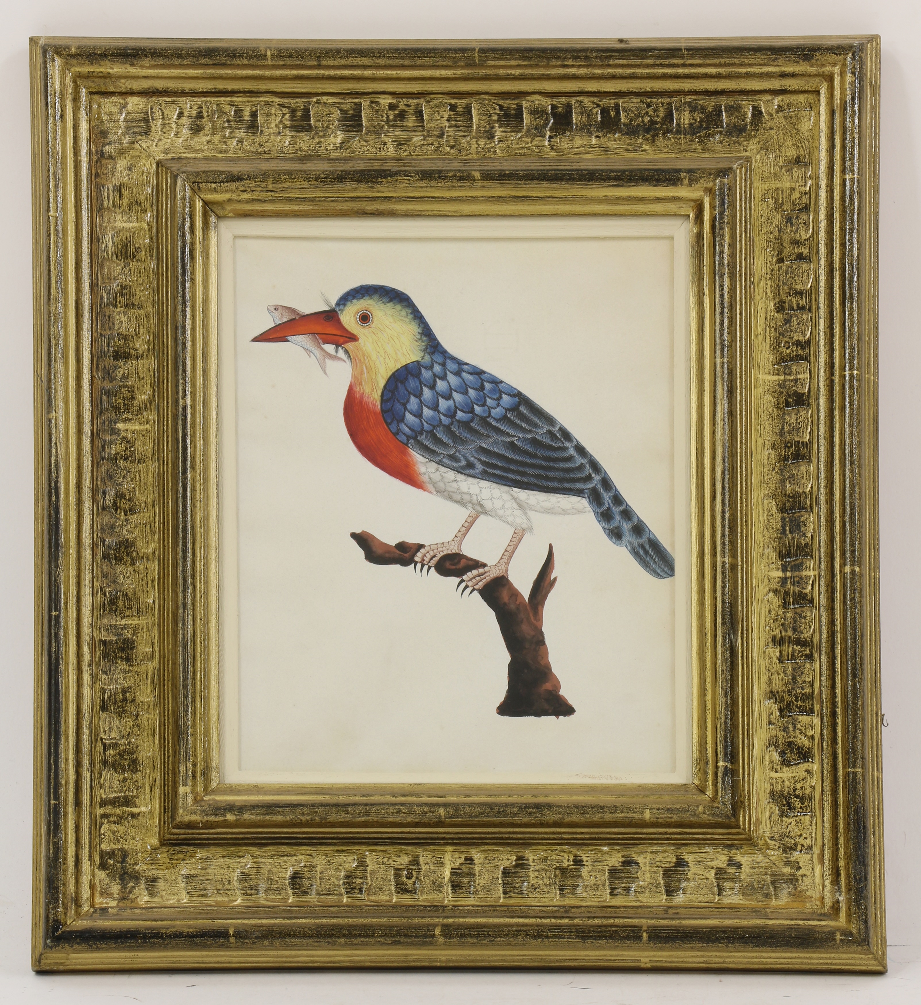 Exotic birds print by Vintage Educational Collection