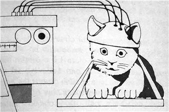 Riccardo Sala: Heiligenschein - Almanac, Turin