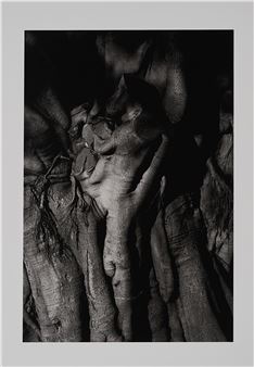 "Die Verwandlung". - Andreas Lang