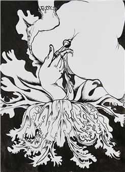 Brassica Oleracea. - Lou Hoyer