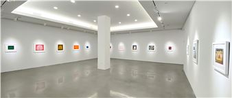 Kusama: Infinity - David Benrimon Fine Art