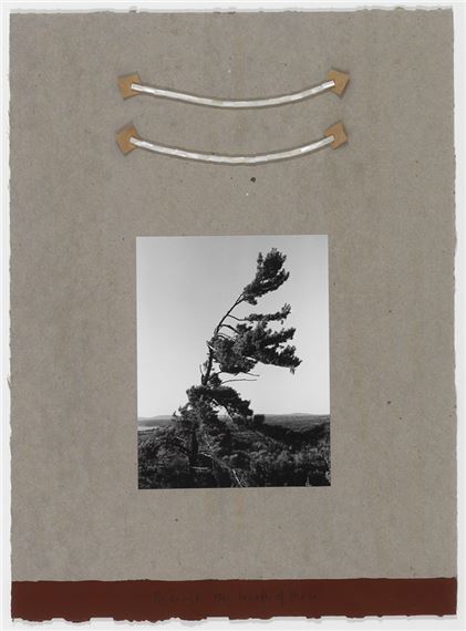 Resume the Breath of Peace by Greg Staats, dated 1995