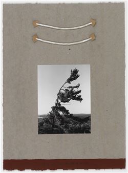 Resume the Breath of Peace - Greg Staats