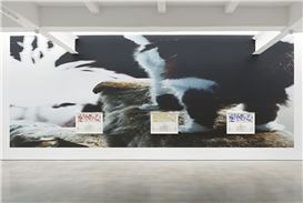 Metro Pictures Opens "Louise Lawler: One Show on Top of the Other"