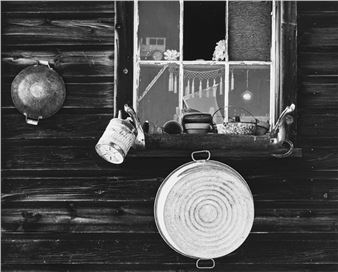 Still Life - Oliver Gagliani