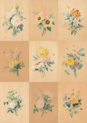 Fleurs - Anthelme-Eugene Grobon