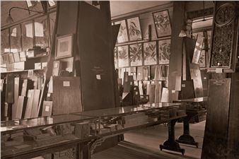 Eucalyptusdom - Powerhouse Museum