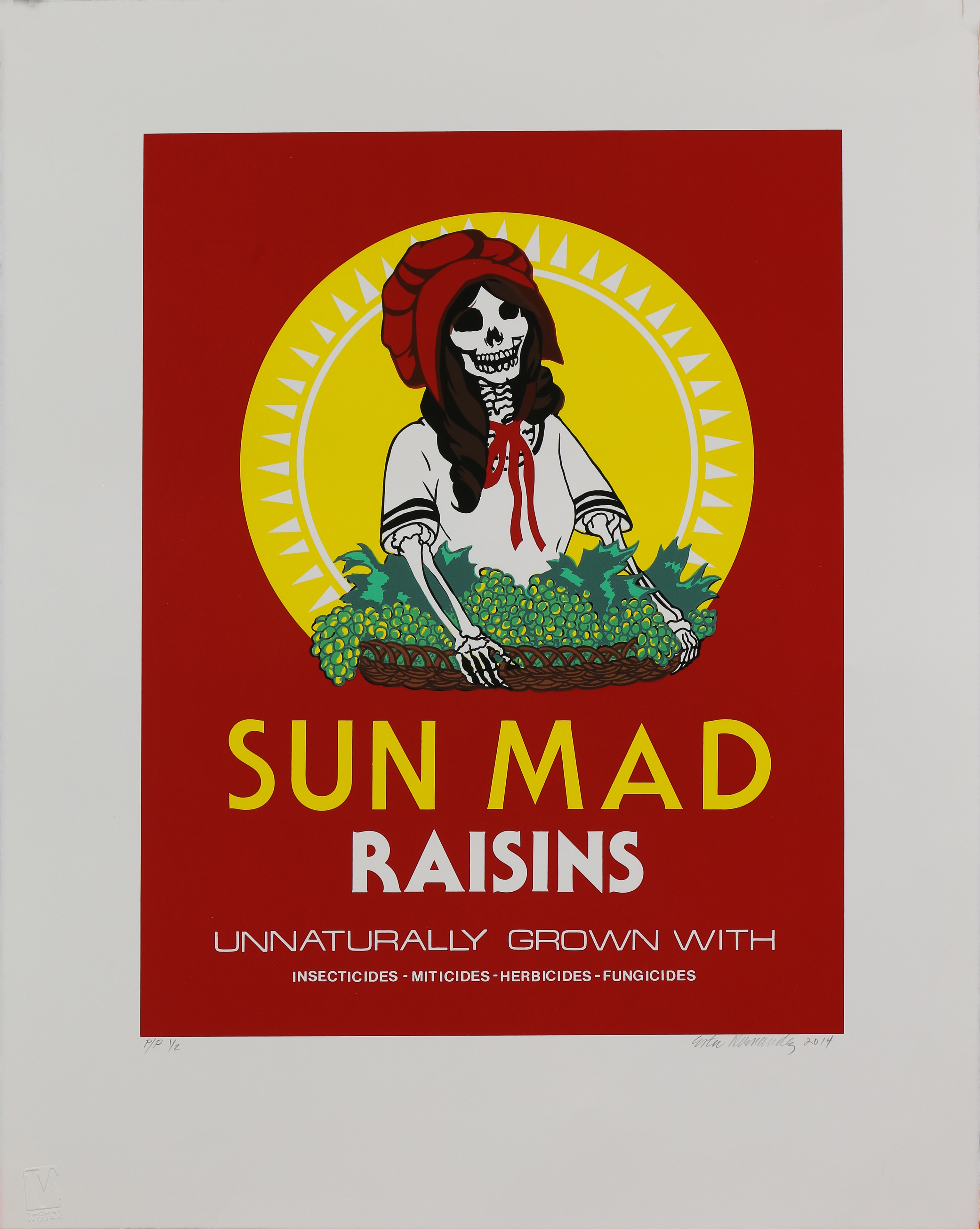 Esther Hernández | Sun Mad Raisins (2014) | MutualArt